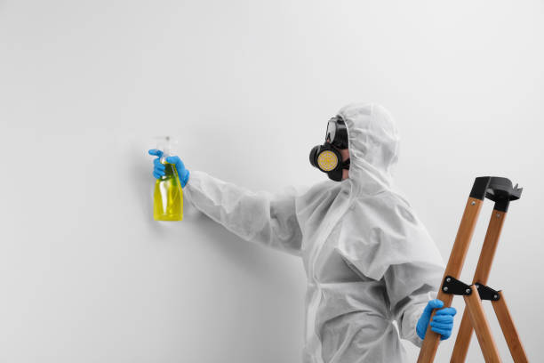 Best Mold Damage Restoration in Sayreville, NJ